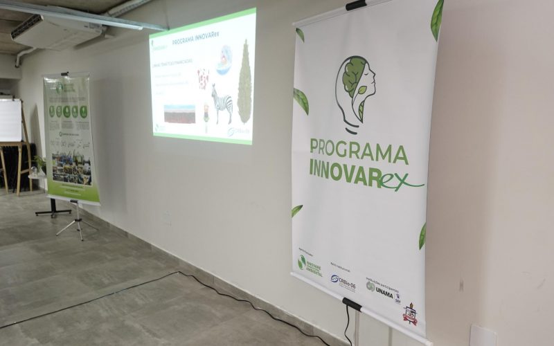 Programa INNOVARex — foto 1