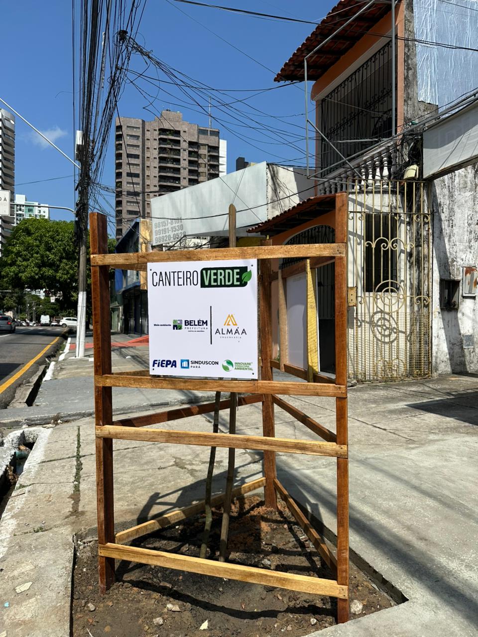 Projeto Canteiro Verde - plantio de mudas em canteiros de obras em Belém