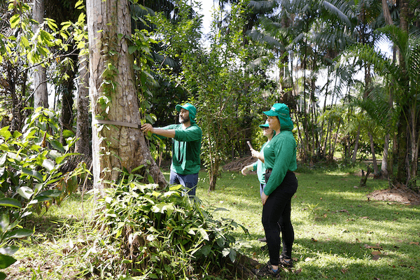 Autorização de Supressão Vegetal (ASV)